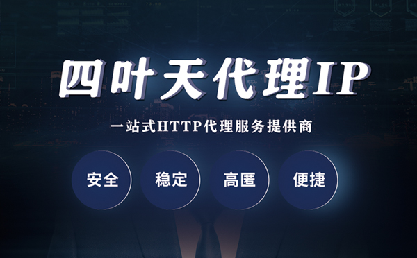 【丽江代理IP】代理ip客户端使用教程