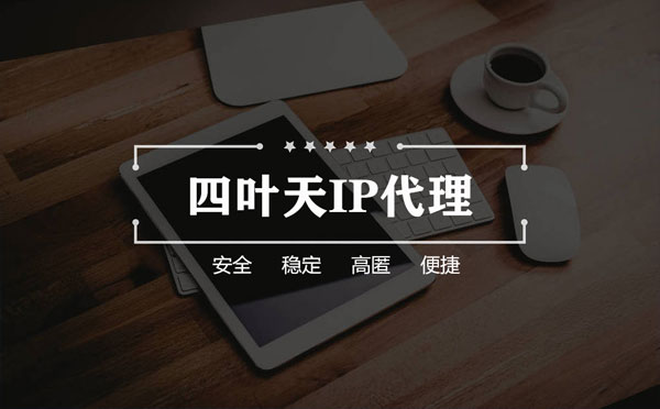 【丽江代理IP】如何快速搭建代理IP？怎么检查代理的效果？