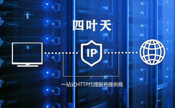 【丽江代理IP】代理IP的主要用途和使用注意事项